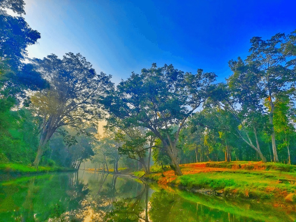विशेष लेख : विश्व पर्यावरण दिवस 2026 : हरित विकास, जल संरक्षण और जनभागीदारी से पर्यावरणीय समृद्धि की ओर बढ़ता छत्तीसगढ़