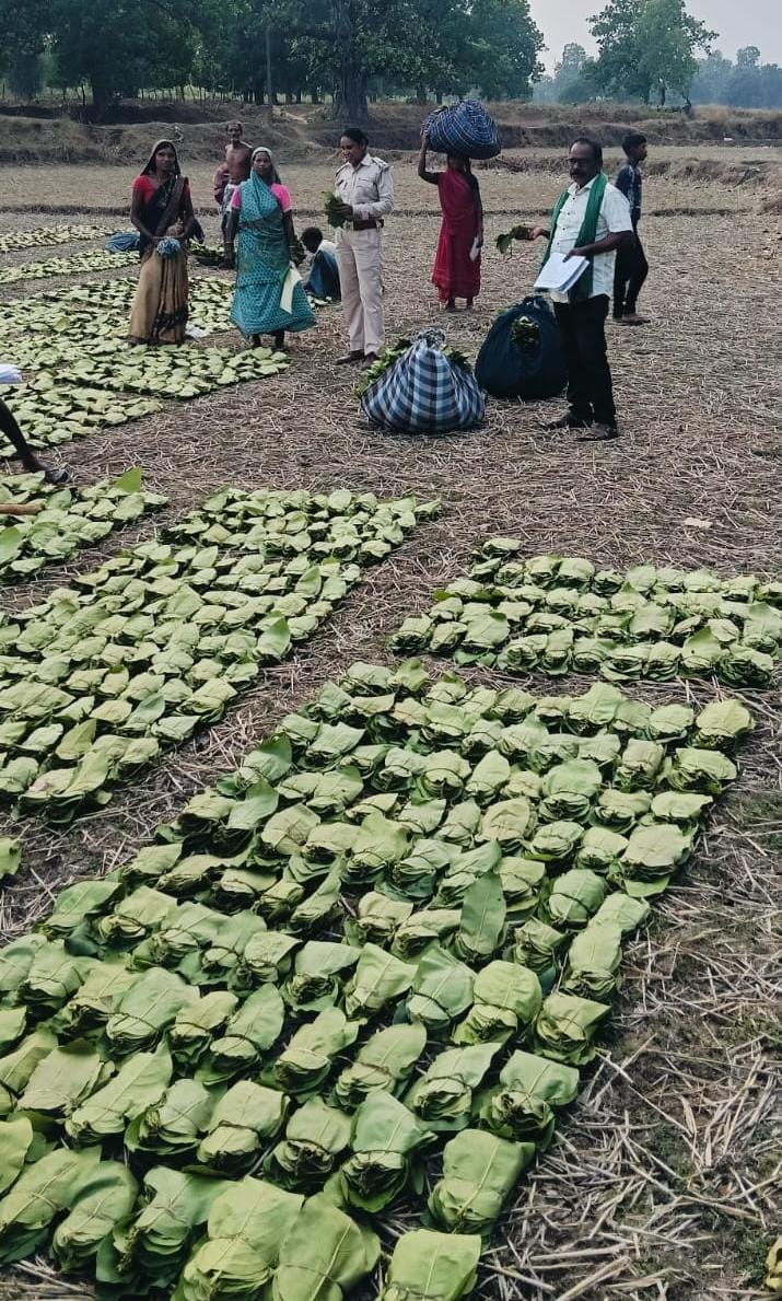 रायपुर : तेन्दूपत्ता संग्राहकों के खातों में पहुंचने लगी बोनस राशि
